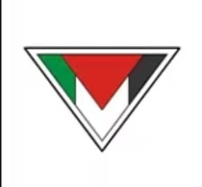 Assorted Palestinian Shaped Pins And Designs - Palestine Hero