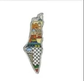 Assorted Map Shaped Pins