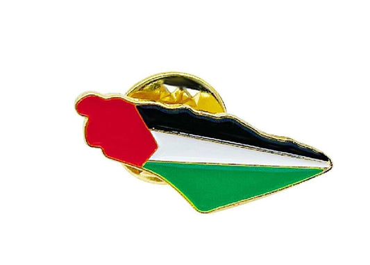 Assorted Map Shaped Pins - Small Palestine