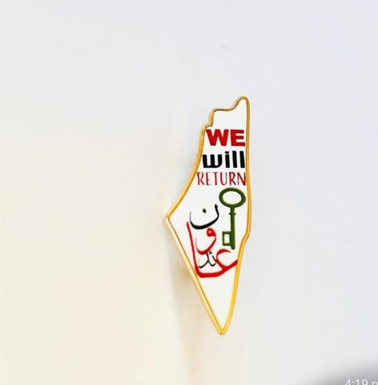 Assorted Map Shaped Pins - We will return