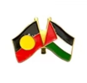 Assorted Palestinian Shaped Pins And Designs - Aboriginal &amp; Palestine Flag