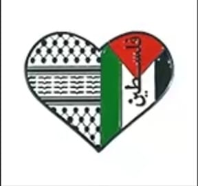 Assorted Palestinian Shaped Pins And Designs