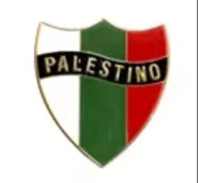 Assorted Palestinian Shaped Pins And Designs - Palestino Gold