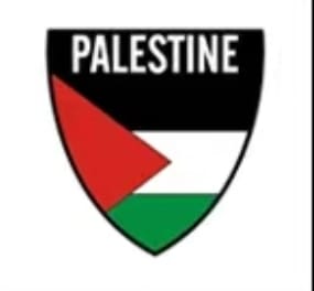 Assorted Palestinian Shaped Pins And Designs - Palestine Shield