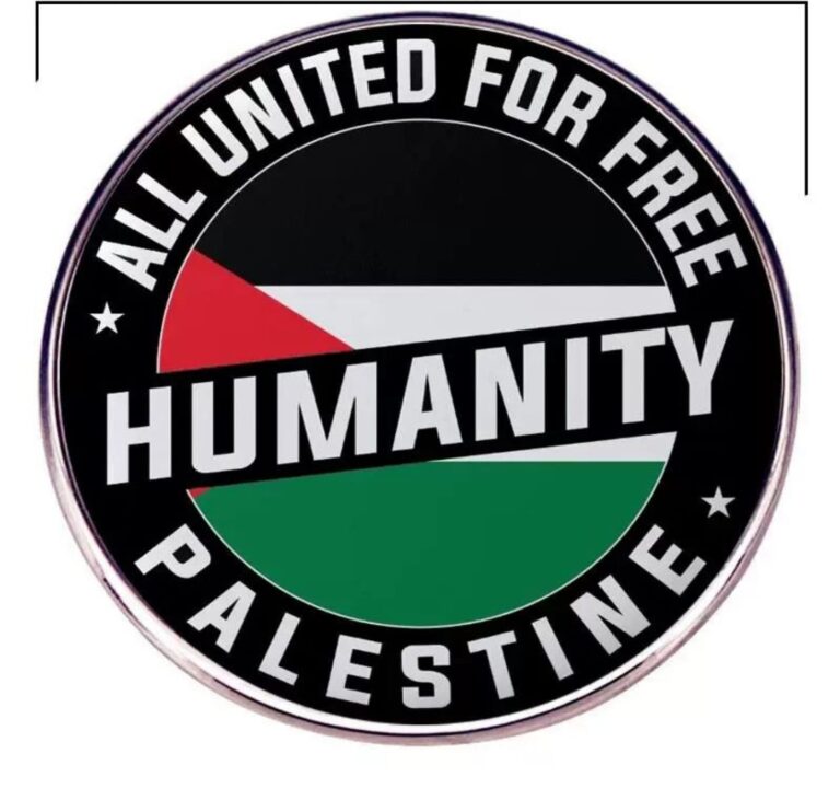 Assorted Palestinian Shaped Pins And Designs - Humanity
