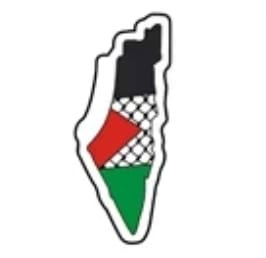 Assorted Map Shaped Pins - Flag &amp; Kuffiyeh