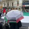 Free Palestine Umbrella